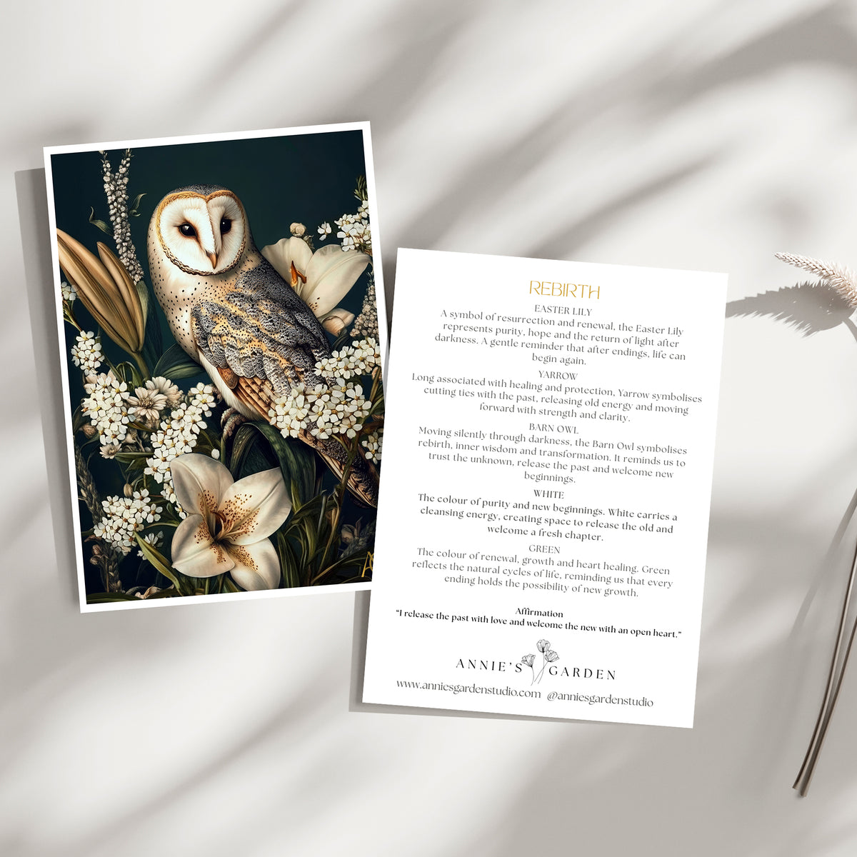Rebirth Gift Card